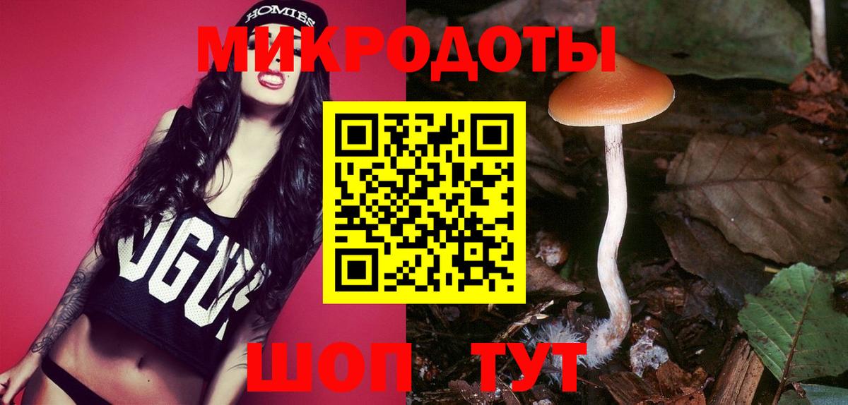 Псилоцибиновые грибы Psilocybine cubensis  Вход с VPN  Северобайкальск 